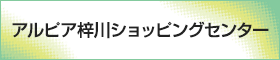 アルピア梓川ショッピングセンター